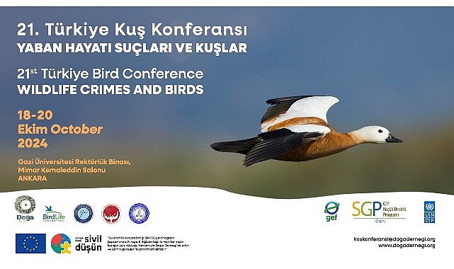 21. Türkiye Kuş Konferansı 18-20 Ekim 2024’te Yaban Hayatı Suçları ve Kuşlar temasıyla Ankara’da.- Kamu Çalışanı