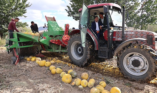 Nevşehir Belediyesi 1. Kabak Çekirdeği Festivali yapıldı.- Kamu Çalışanı
