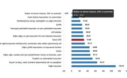 Tüik: Tarım ürünleri üretici fiyat endeksi (Tarım-ÜFE) yıllık %31,09 arttı, aylık %2,00 arttı- Kamu Çalışanı