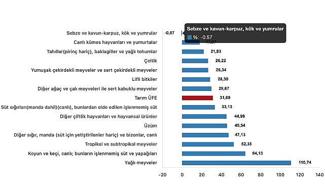 Tüik: Tarım ürünleri üretici fiyat endeksi (Tarım-ÜFE) yıllık %31,09 arttı, aylık %2,00 arttı- Kamu Çalışanı