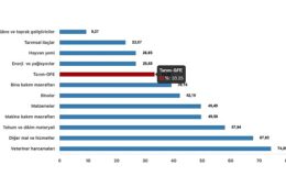 Tüik: Tarımsal girdi fiyat endeksi (Tarım-GFE) yıllık %33,25 arttı, aylık %1,39 arttı- Kamu Çalışanı