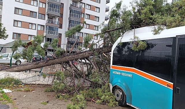 İzmir Büyükşehir Belediyesi 850 personel ve 640 araçla sahada- Kamu Çalışanı