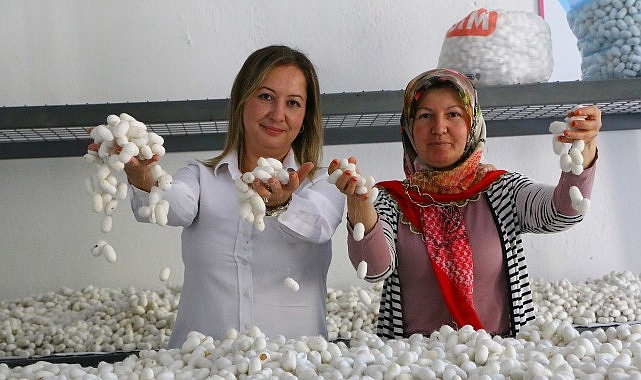 Sapadere İpek Evi’nde eğitim kursları başladı- Kamu Çalışanı