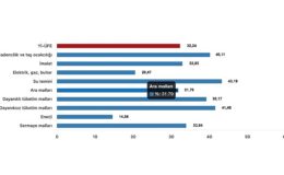 Tüik: Yurt İçi Üretici Fiyat Endeksi (Yİ-ÜFE) yıllık %32,24 arttı, aylık %1,29 arttı- Kamu Çalışanı