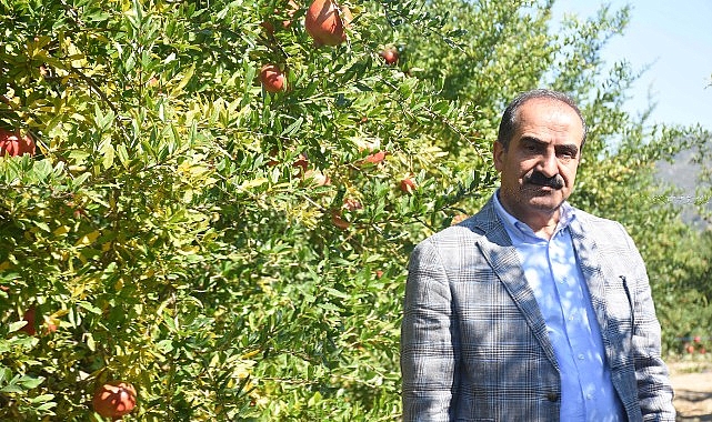 Türkiye’nin 10 aylık nar ihracatı 100 milyon doları aştı- Kamu Çalışanı