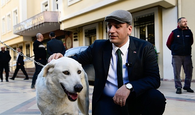 Başkan Eşki uyutmadı sahiplendi- Kamu Çalışanı