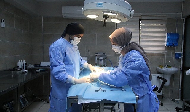 Büyükşehir patili dostlara sahip çıkıyor- Kamu Çalışanı
