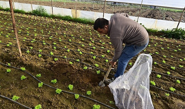 Hümik Asit Uygulamasıyla Verimli Topraklar, Sağlıklı Ürünler- Kamu Çalışanı