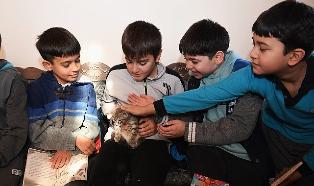 Öğrenciler bu kütüphanede hem kitap okuyor hem de kedileri seviyor- Kamu Çalışanı