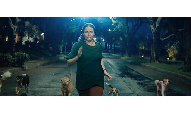 Oscar Adayı Oyuncu Amy Adams’ın Başrolünde Yer Aldığı ‘Nightbitch’ Filminden Fragman Yayınlandı- Kamu Çalışanı