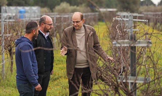 Buca’nın lezzetli razakı üzümü coğrafi işaret almaya hazırlanıyor- Kamu Çalışanı
