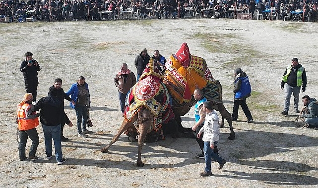 Burhaniye’de Hasat Festivali İçin Geri Sayım Başladı- Kamu Çalışanı