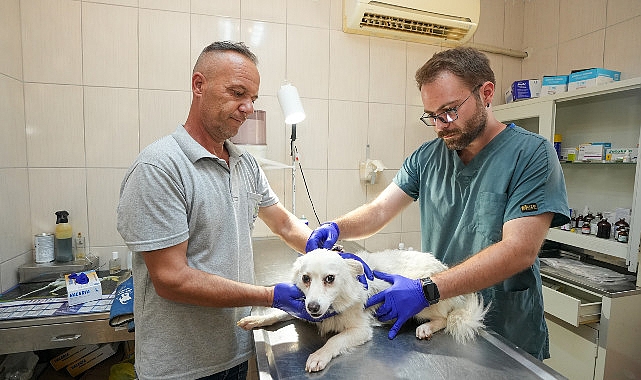 Gaziemir Belediyesi’nden 6 bin 222 can dosta şefkat eli- Kamu Çalışanı
