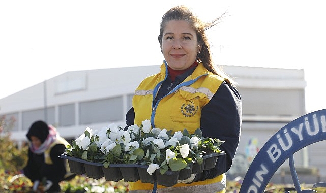 Başkan Çerçioğlu Didim’i Rengarenk Çiçekler İle Süsledi- Kamu Çalışanı
