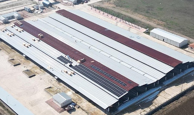 İnegöl Belediyesi Enerjisini Güneşten Sağlayacak- Kamu Çalışanı