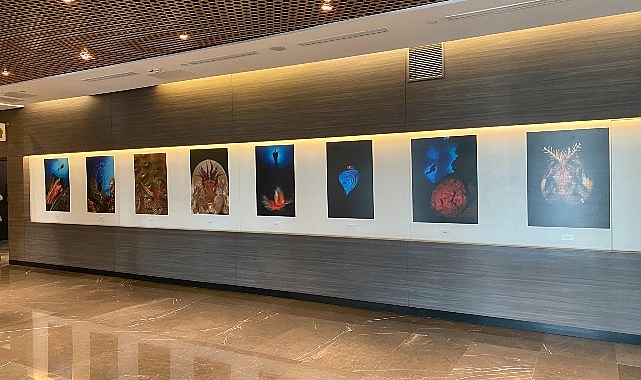 “Okyanusların Mirası” Sualtı Fotoğraf Sergisi Memorial Sanat Galerisi’nde- Kamu Çalışanı