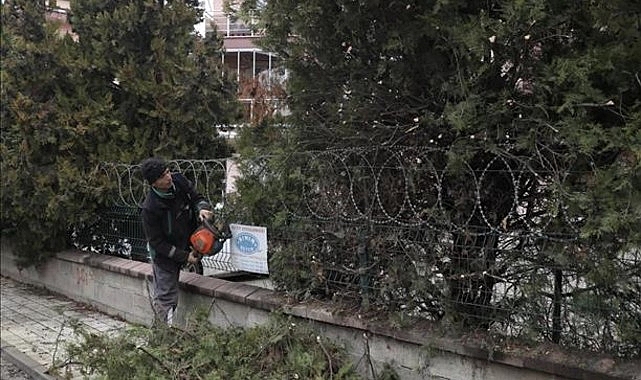 Şehir Genelinde Ağaç Budama Çalışmaları Sürüyor- Kamu Çalışanı