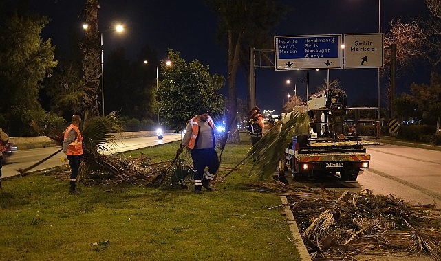 Büyükşehir’den gece budama çalışması- Kamu Çalışanı