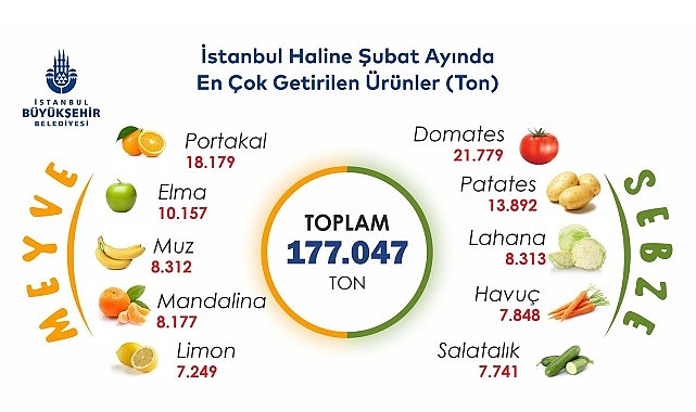İstanbul’da şubat ayında portakal ve domates zirvede – Kamu Çalışanı