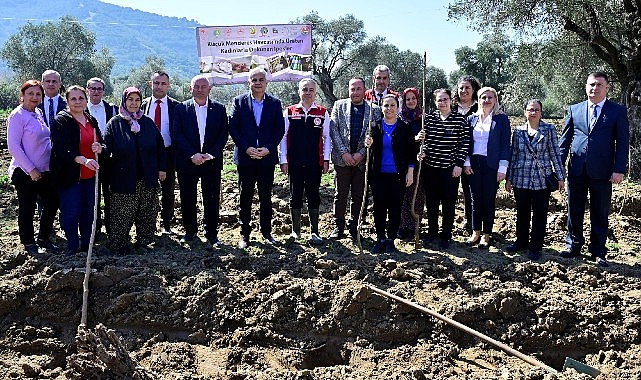 İzmir’de Kadın Çiftçilere Destek: Dut Fidanları Toprakla Buluştu!- Kamu Çalışanı