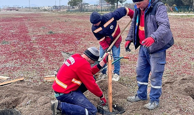 Kum Zambakları Koruma Altında- Kamu Çalışanı