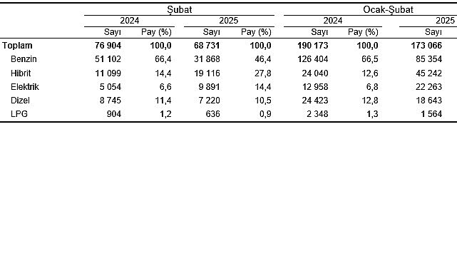 Motorlu Kara Taşıtları, Şubat 2025 – Kamu Çalışanı
