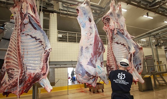 Sağlıklı ve güvenilir etin adresi Büyükşehir mezbahası- Kamu Çalışanı