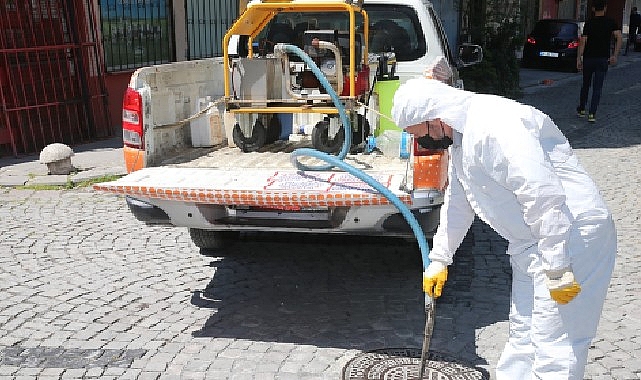 Zeytinburnu Belediyesi’nden Sivrisinek Sorununa Erken Müdahale- Kamu Çalışanı