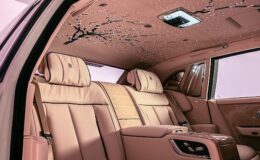 Anın Güzelliği: Rolls-Royce Phantom “Cherry Blossom”- Kamu Çalışanı