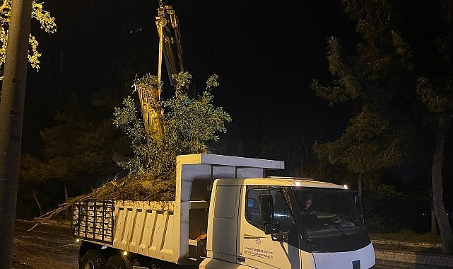 Aydın Büyükşehir Belediyesi’nden Şiddetli Yağış ve Fırtınaya Karşı Hızlı Müdahale- Kamu Çalışanı