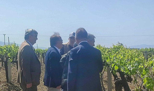 Büyükşehir’den Don Zararına Uğrayan Üreticilere Destek- Kamu Çalışanı