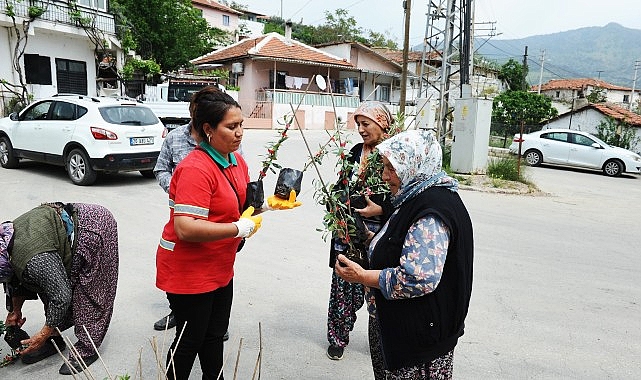 Karşıyaka Belediyesi’nden Sancaklı’da fidan dayanışması- Kamu Çalışanı