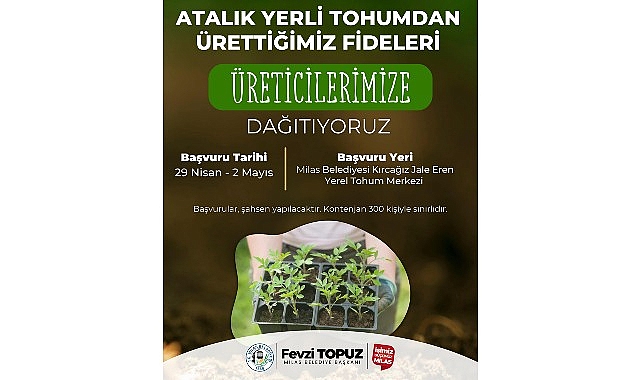 Milas Belediyesi Ata Tohumlarını Yaşatmak Amacıyla Sebze Fidesi Dağıtımı Gerçekleştirecek- Kamu Çalışanı