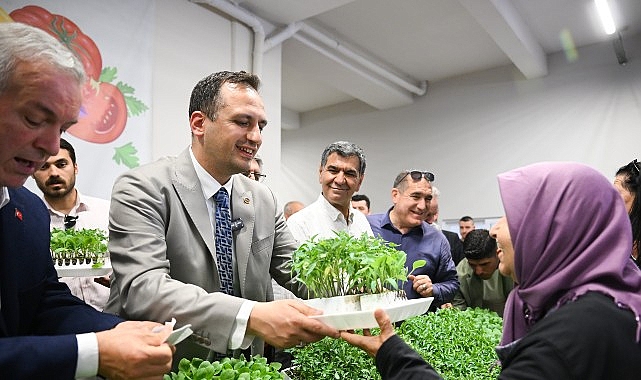 400 bin yazlık fide üreticiyle buluşuyor – Kamu Çalışanı