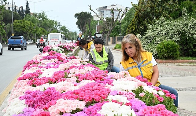 Başkan Çerçioğlu Efeler’i Bahar Çiçekleri ile Süsledi- Kamu Çalışanı