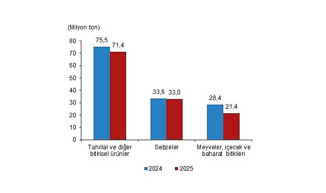 Bitkisel Üretim 1.Tahmini, 2025- Kamu Çalışanı