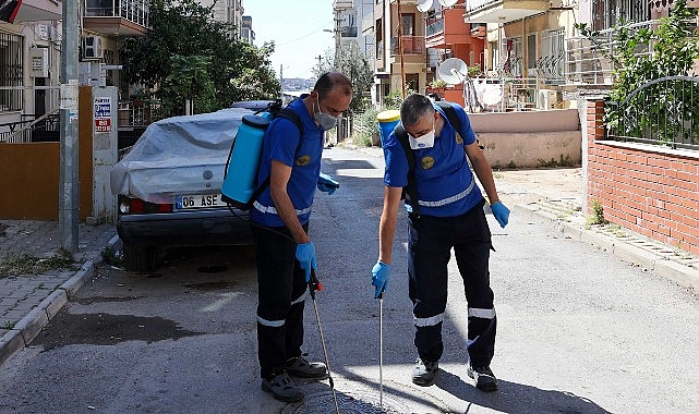 Buca’da Haşere ve Zararlılara Karşı İlaçlama Seferberliği- Kamu Çalışanı
