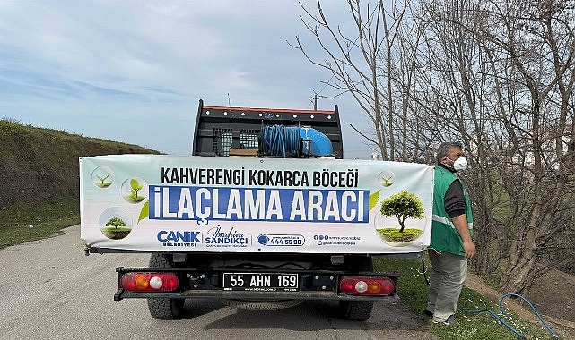 Canik’te Kokarca Böceğine Karşı Mücadelede Atak – Kamu Çalışanı