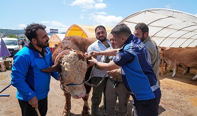 Gaziemir’de kurban satış yerlerinde sıkı denetim- Kamu Çalışanı
