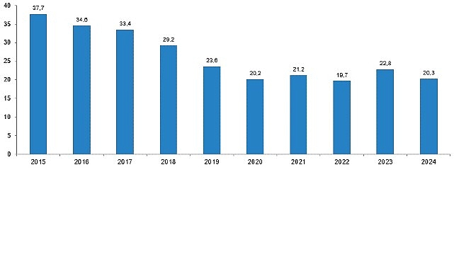 Karayolu Trafik Kaza İstatistikleri, 2024- Kamu Çalışanı