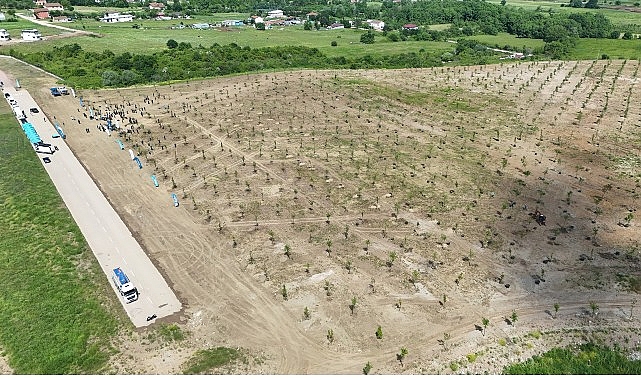 Kocaeli’nde binlerce fidan toprakla buluştu- Kamu Çalışanı