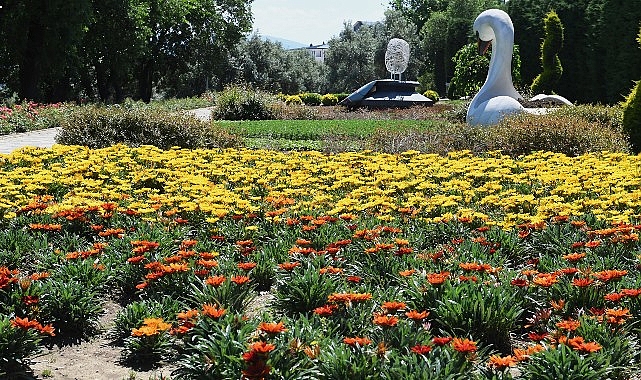 Osmangazi’nin her yeri çiçek kokuyor- Kamu Çalışanı