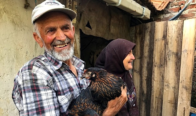 Üreticiye yüzde 50 hibeli yumurta tavuğu desteği- Kamu Çalışanı