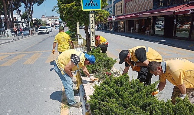 Başkan Çerçioğlu’nun Hizmetleri Kuşadası’nı Doğanın Yeşil Tonları ile Buluşturuyor- Kamu Çalışanı