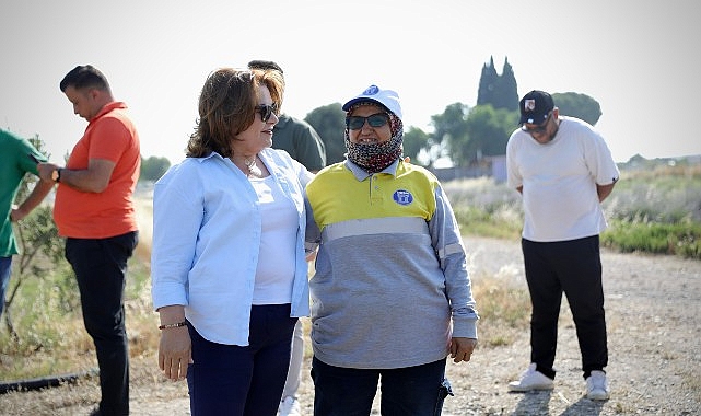 Başkan Gençay, kekik hasadına katıldı- Kamu Çalışanı