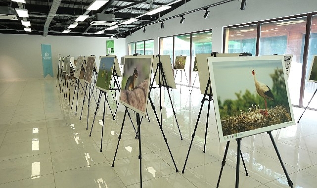 Bu fotoğraf sergisi Ormanya’da görsel şölen sunuyor- Kamu Çalışanı