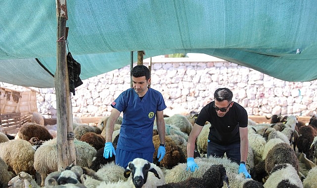 Buca’da Kurban Bayramı öncesi sıkı denetim- Kamu Çalışanı