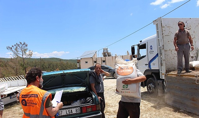 Büyükşehir’den çiftçilere gübre desteği – Kamu Çalışanı