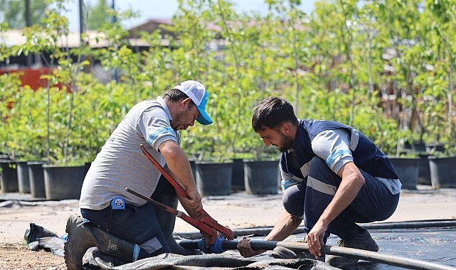 Büyükşehir’in fidanlığı Kocaeli’ni yeşillendiriyor- Kamu Çalışanı
