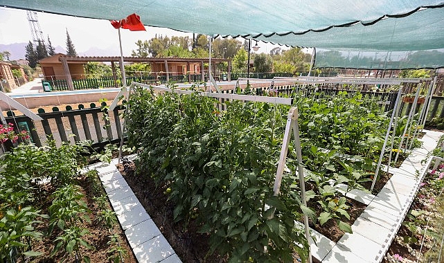 En Güzel Tasarım ve Uygulama Yarışması’nda ödüller sahiplerini buldu- Kamu Çalışanı